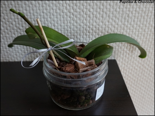 OrchideesGeante_16Mai2015_3_blog