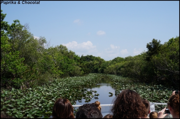 Floride-Everglades_5_blog